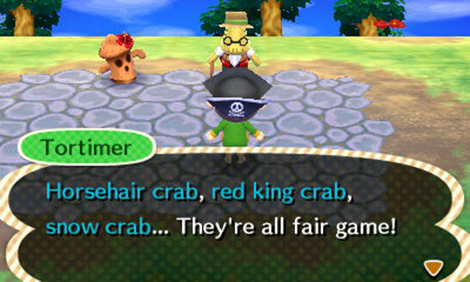 The Deadliest Turtle