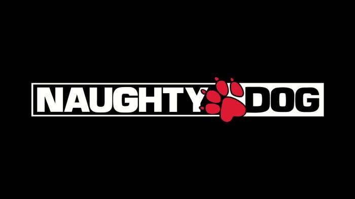 naughty-dog-mystery-game