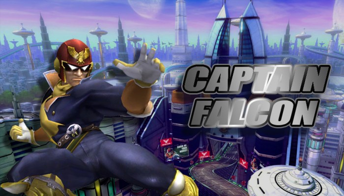 captain_falcon.jpg