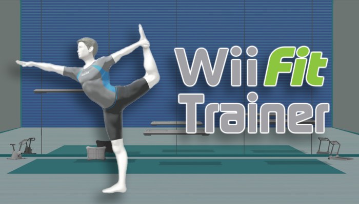 wii_trainer.jpg