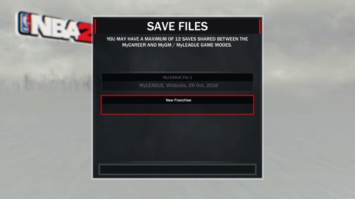 NBA 2K17_20170201132731.jpg