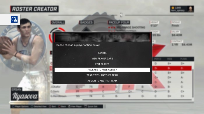 NBA 2K17_20170201142137.jpg